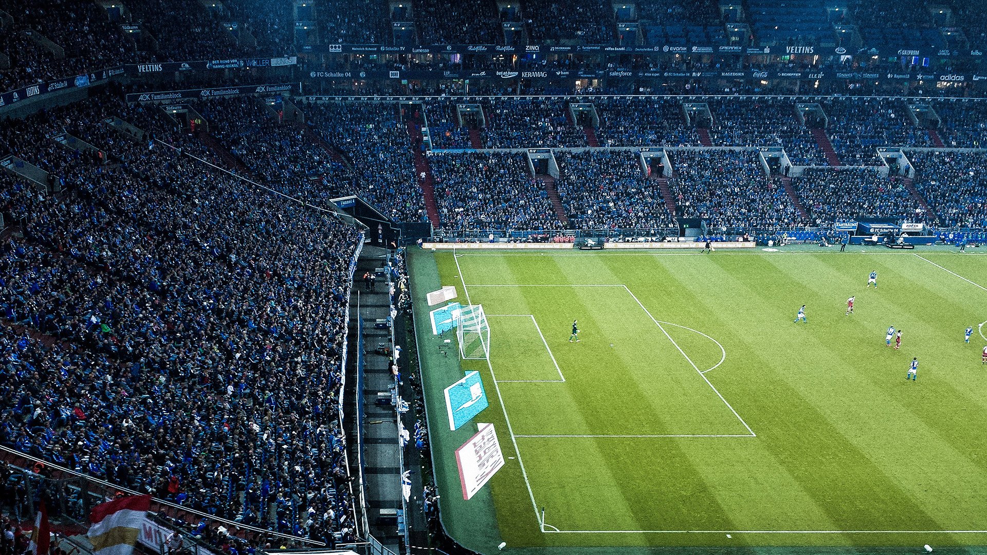 “青训专家：培养专业化教练员为行业注入新活力”，专业教练班培训