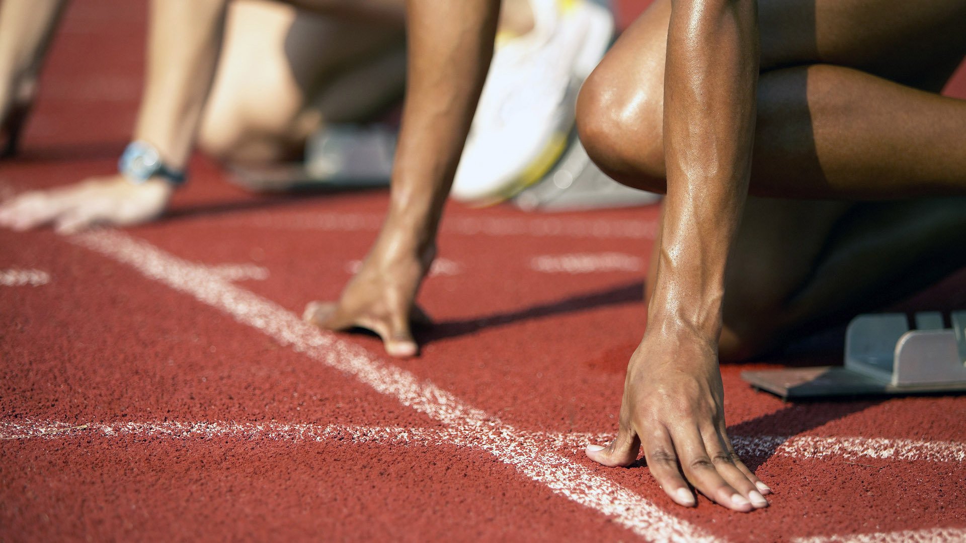 面向未来的数字青训平台在行业内逐步推开，行业智能化大势已成